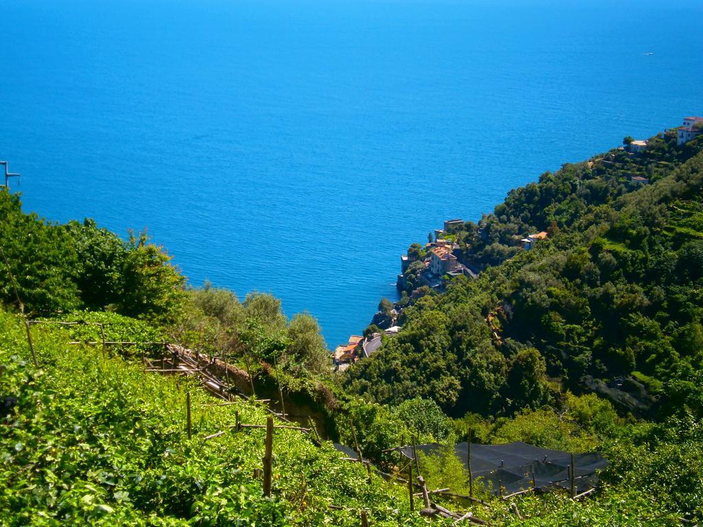 Villa En Rose Ravello Værelse billede